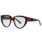 Y-Not WS Sunglasses with Earth Tortoise acetate frame