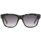 Lord Sunglasses with Plankton acetate frame