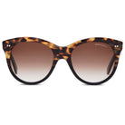 Manhattan Sunglasses with Tokyo 50 acetate frame