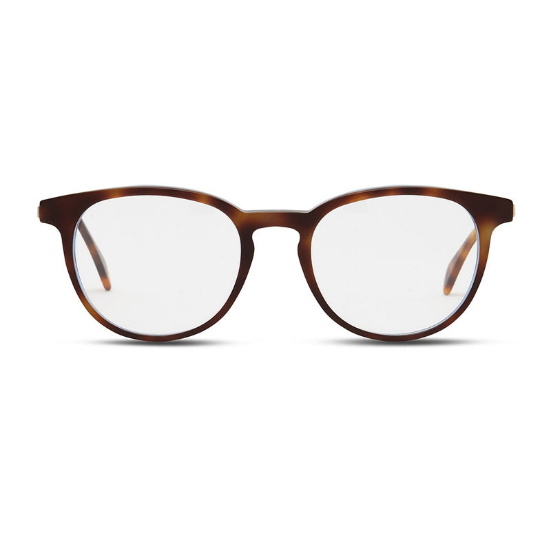 A pair of Avery glasses with a tortoise frame on a white background.