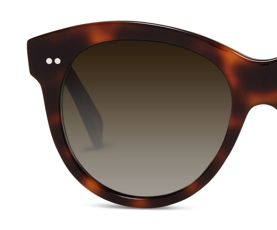 Brown Graduated Additional Sunglass Lenses