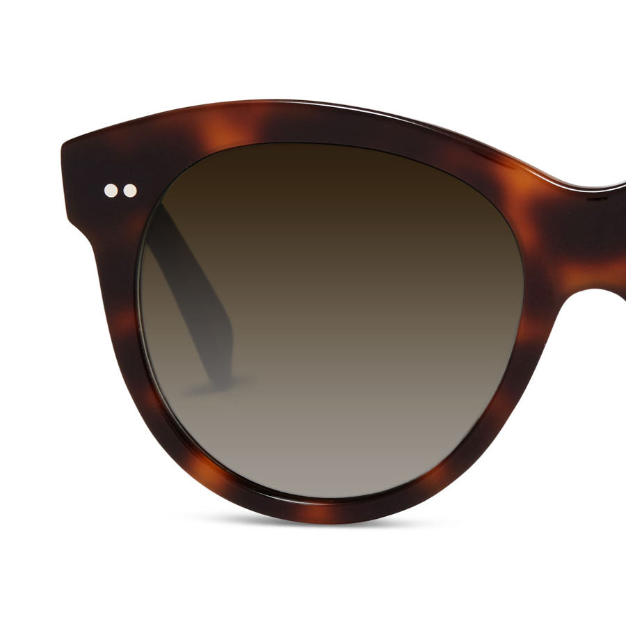 Brown Graduated Additional Sunglass Lenses